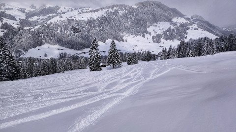 Dans l'ambassade hivernale