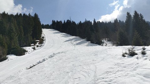 Printanier mais pas trop 