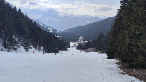 Les 4 saisons ☀️❄️