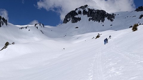 Seul au monde dans Arpingon