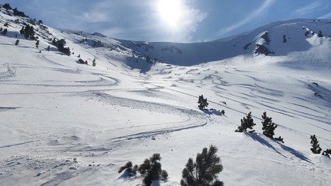 Merci Olive ! Une journ&eacute;e au paradis...