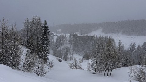 ⛷️🎿 Choisis ton camps 💤☕️