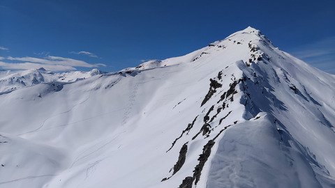 T&ecirc;te des raisins par canicule