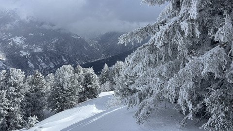 Du vent et de la neige 