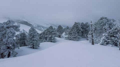 Super journ&eacute;e, des conditions d'enneigement qui font regretter la fermeture annonc&eacute;e de la station le 29 mars