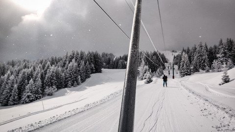 retour de l'hiver et gavage en r&egrave;gle 