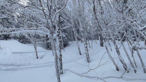 "&Ccedil;a va se d&eacute;gager, je le sens !" Une vraie journ&eacute;e d'hiver, top! 