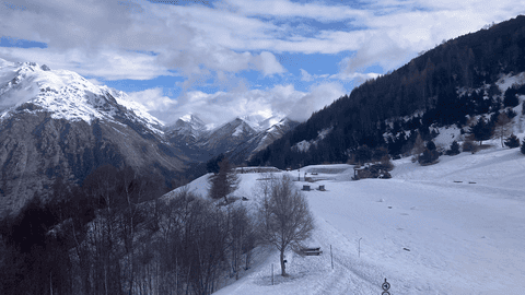 Entre soleil et pur&eacute;e de pois 🥴