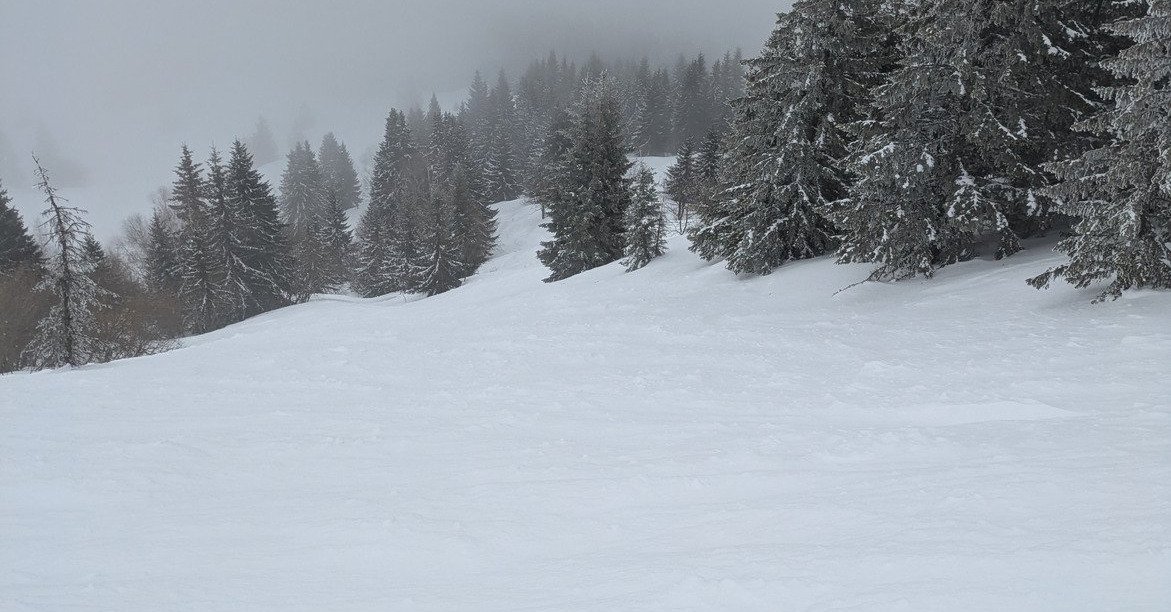 ballade en for&ecirc;t 
