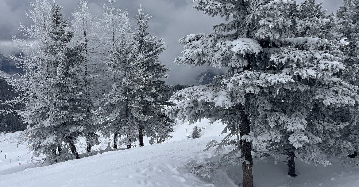 Quand on aime, on ne voit pas.