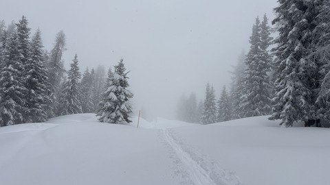 Neige incroyable pour une fin Mars