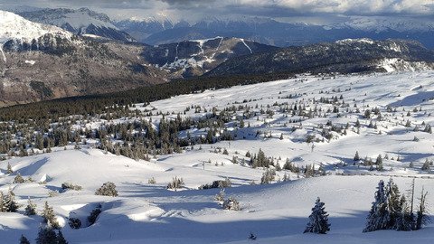 L'hiver au printemps 