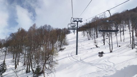 c est la greve? lets go ski?