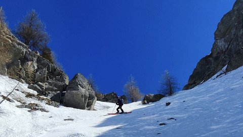 Moquette parfaite pour ce d&eacute;but avril 