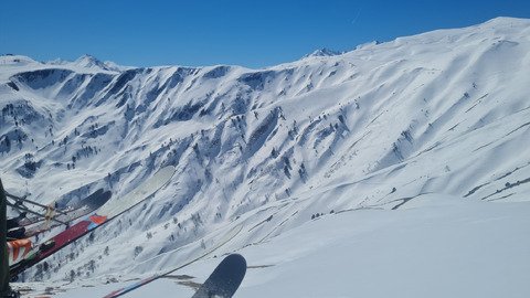Jour 12 : C'est le printemps ! 
