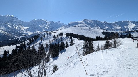 Journ&eacute;e de transition 🤩