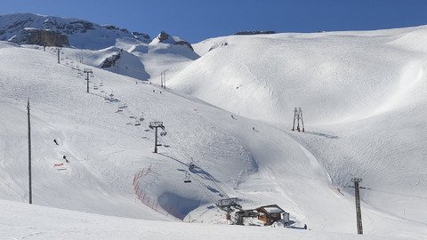 Le printemps vient juste d arriver