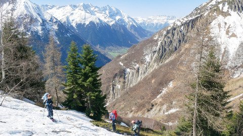 Les Souffles ou la vie dans les bois