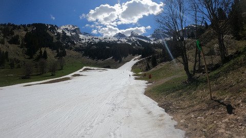 Un petit coucou au TS4 du col