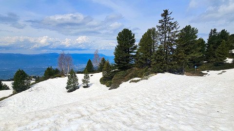Chamrousse : ski de rando & marmottes !