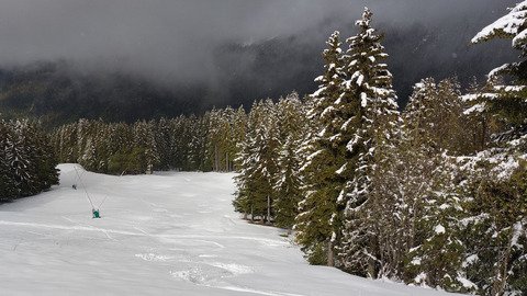 WE surprise sous la neige 🤩😎