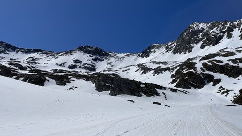 toujours au top