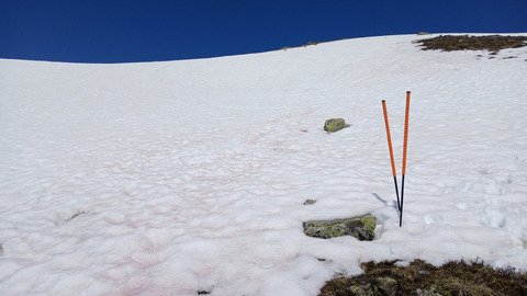 Fin de saison, tout doit dispara&icirc;tre ! 