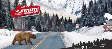 White Session 2014 - Les 10 finalistes