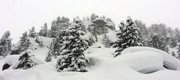 First Track S2E2 "La qu&ecirc;te de l'or blanc"