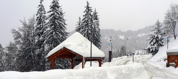Temp&ecirc;te de Neige du 30 Janvier