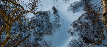 Rishiri, le jardin flottant