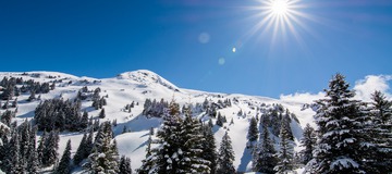 Bons plans en stations