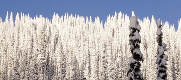 Freeski Friends Eddy Show EP10