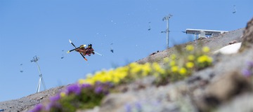 Carte Postale de Mt Hood