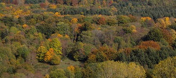 Shopping #1 : vive l'Automne