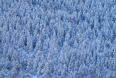 O&ugrave; skier ce week-end&nbsp;?