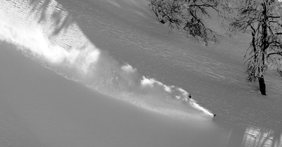 Concours photo #1 : poudreuse