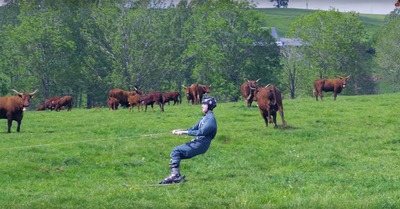 [vidéo] Skiing with my cows