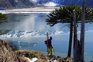 En hommage &agrave; Pierre Colonge