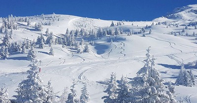 Point ski : neige et soleil