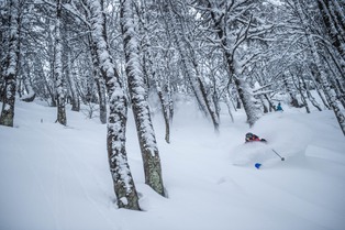 Bon App&eacute;tit S7EP2 : Sk'a problem