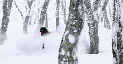 Nozawa Onsen avec Leo Slemett