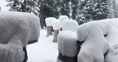 Apr&egrave;s le printemps, l'hiver&nbsp;