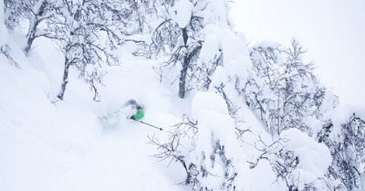 Des nouvelles de Kaj Zackrisson
