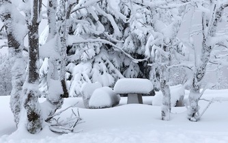 La neige est l&agrave; !
