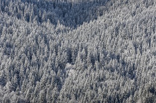 Neige et soleil de d&eacute;but d&eacute;cembre