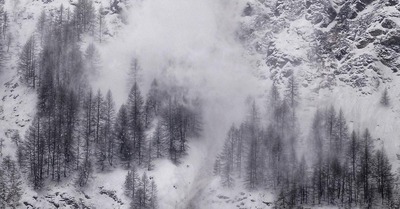 Le chaos a un nom : Eleanor