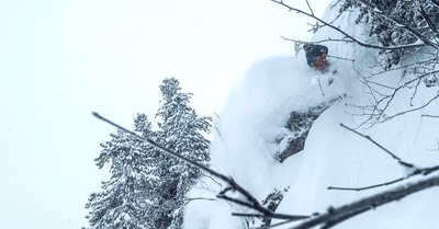 Le feuilleton Bon App&eacute;tit. Part 2.