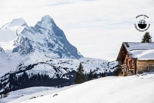 Skipass dans l'Oberland bernois : Jungfrau Region