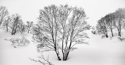 11 jours au Japon (2/2)